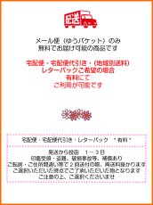 画像15: ★【無地スタイ】MUJI 5　(メール便無料） (15)